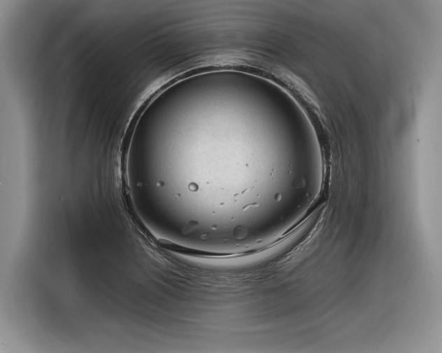X0000116261226200912071016