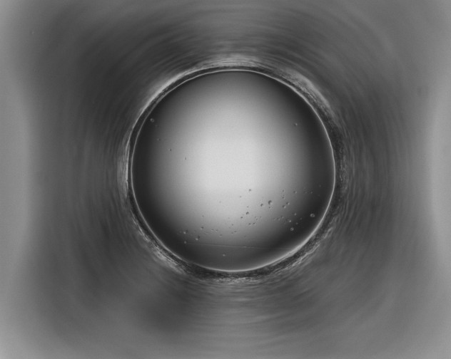 X0000116261228200912071016