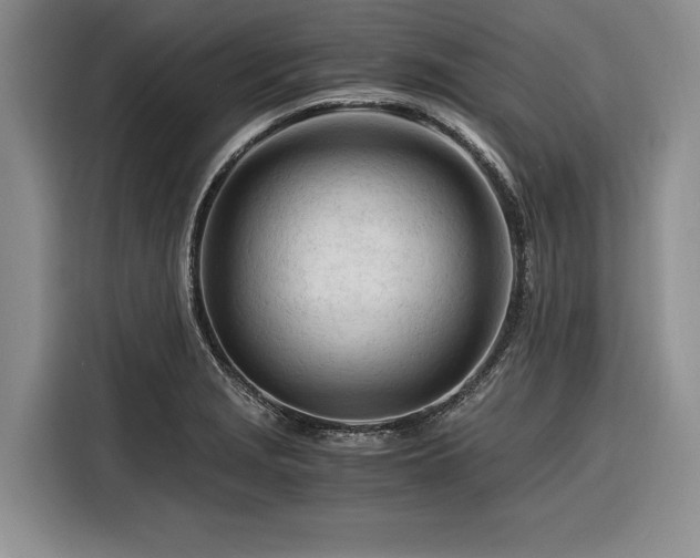 X0000116261229200912071016