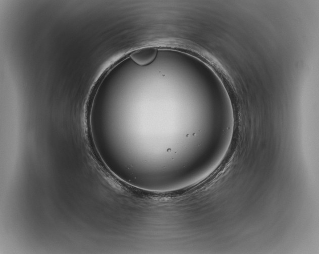 X0000116261230200912071016