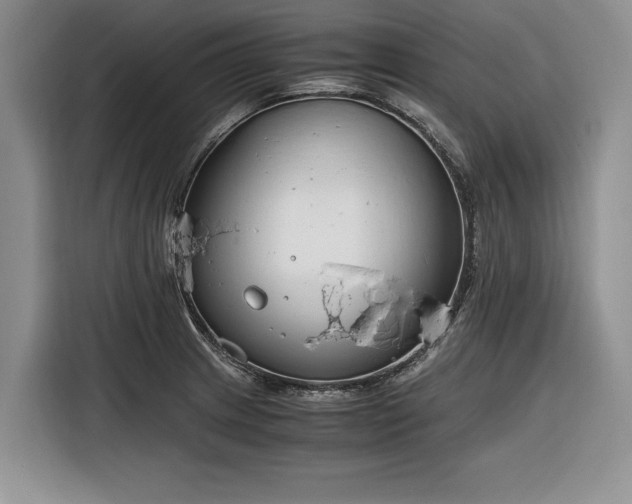 X0000116261233200912071016