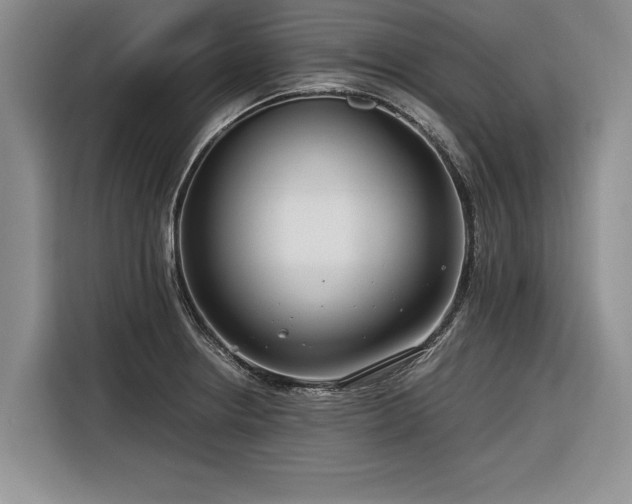 X0000116261234200912071016