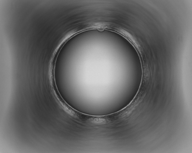 X0000116261235200912071016