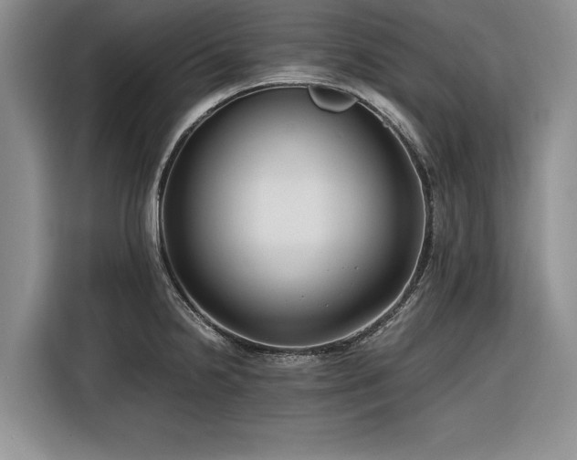 X0000116261238200912071016