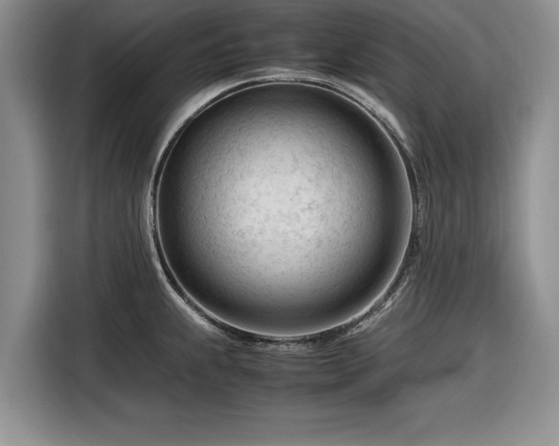 X0000116261239200912071016