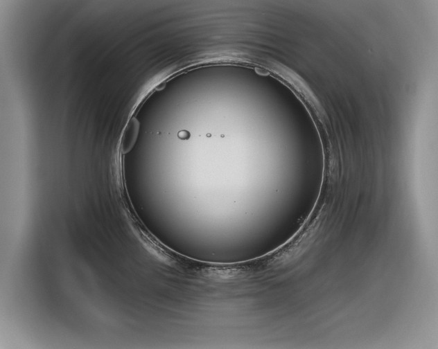 X0000116261242200912071016