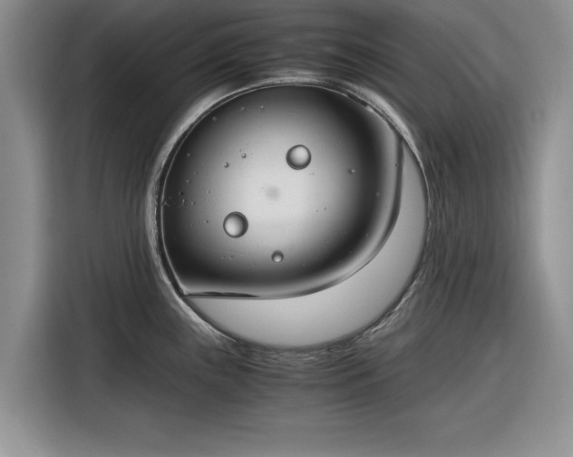 X0000116261243200912071016