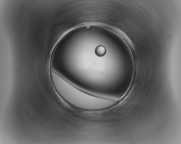 X0000116261244200912071016