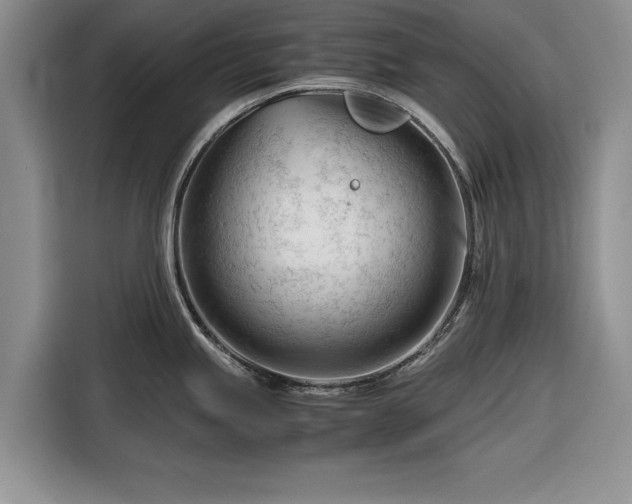 X0000116261245200912071016
