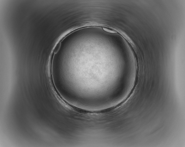 X0000116261246200912071016