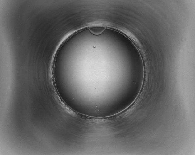 X0000116261248200912071016