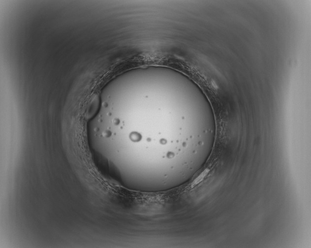 X0000116261249200912071015