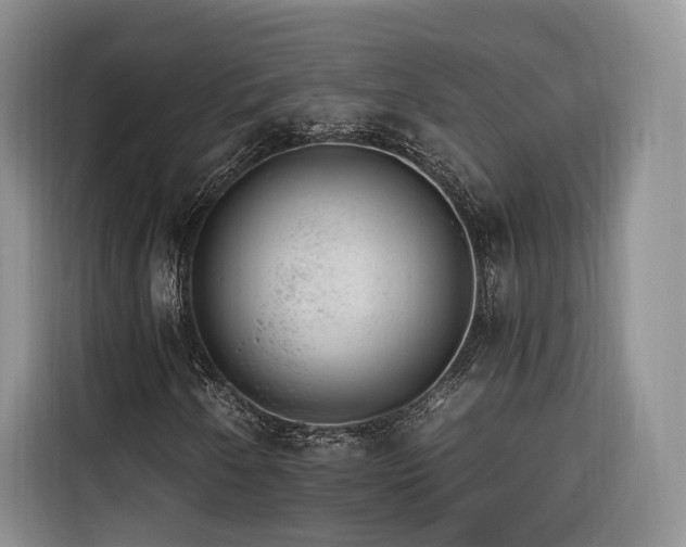 X0000116261250200912071015