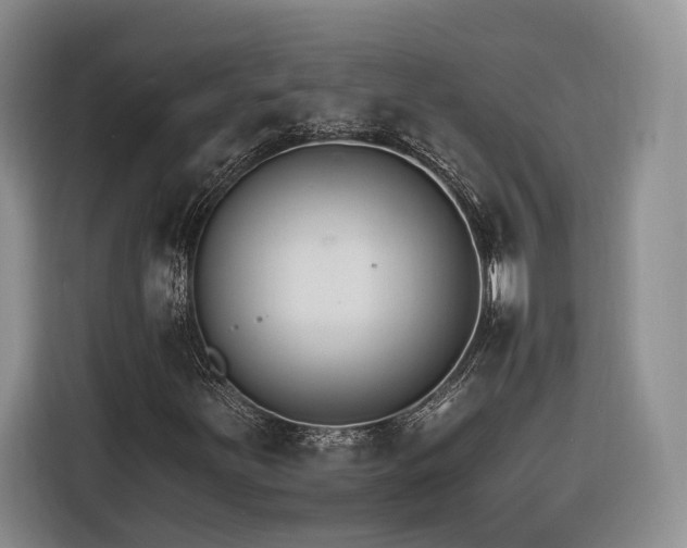 X0000116261251200912071015