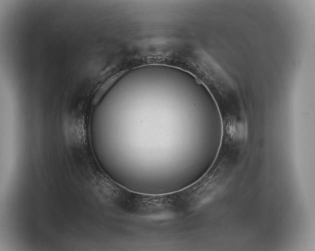 X0000116261252200912071015