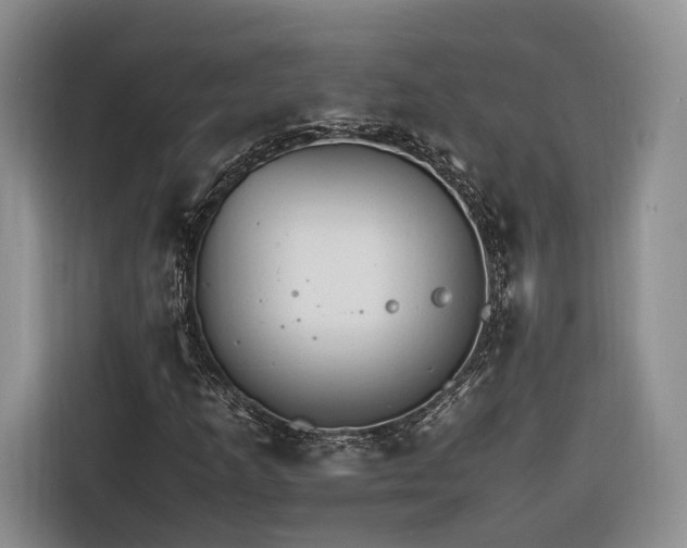 X0000116261253200912071015