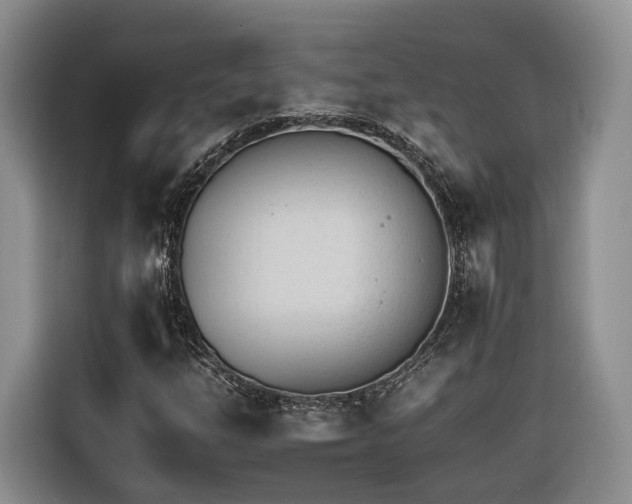 X0000116261254200912071015