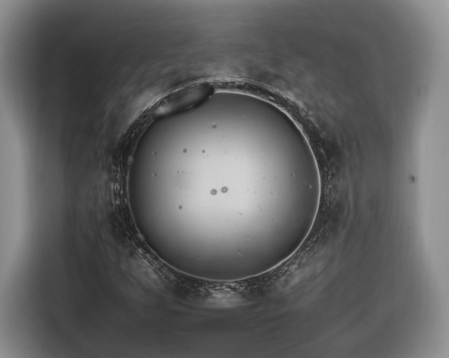 X0000116261255200912071015