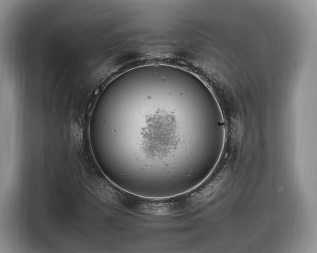 X0000116261257200912071015