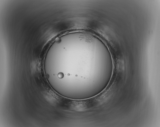 X0000116261258200912071015