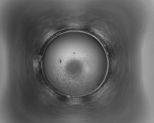 X0000116261259200912071015