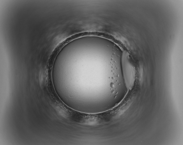 X0000116261263200912071015