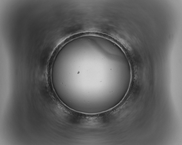 X0000116261264200912071015