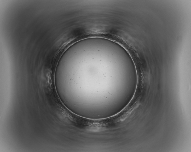 X0000116261265200912071015