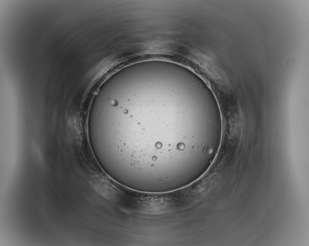 X0000116261266200912071015