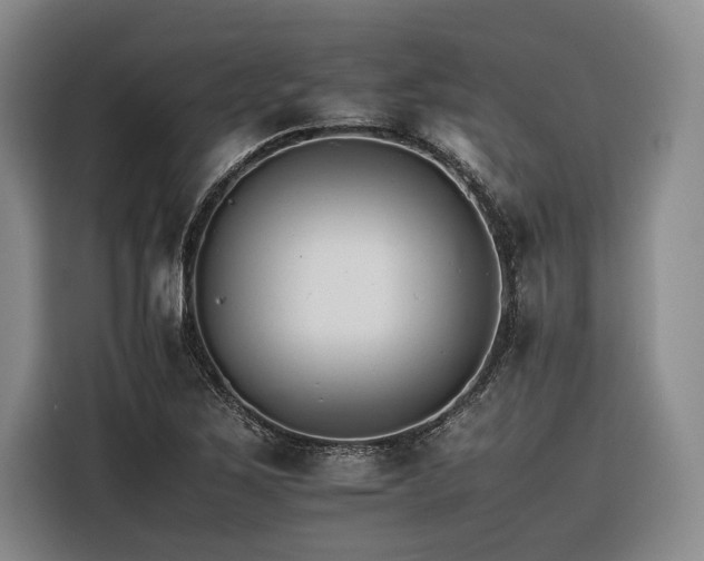 X0000116261267200912071015