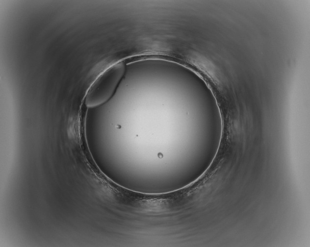 X0000116261268200912071015