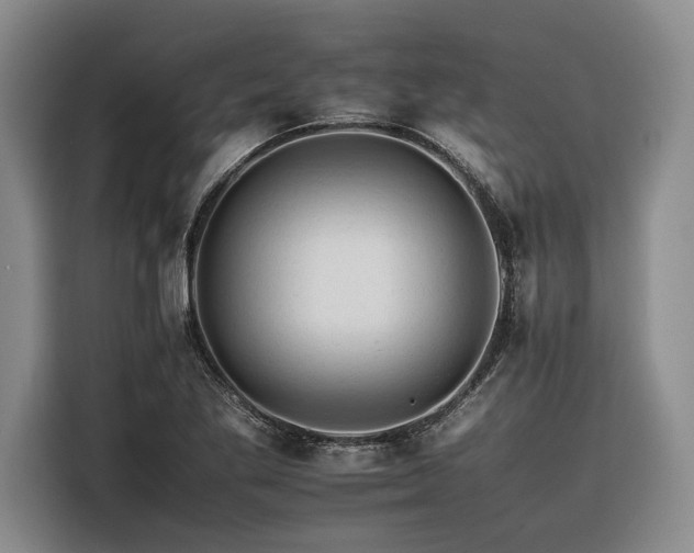 X0000116261269200912071015