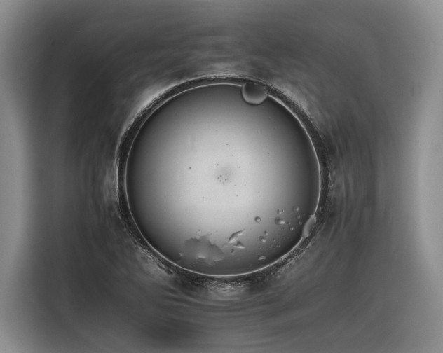 X0000116261270200912071015