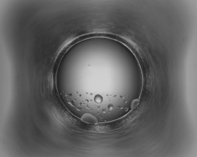 X0000116261271200912071015