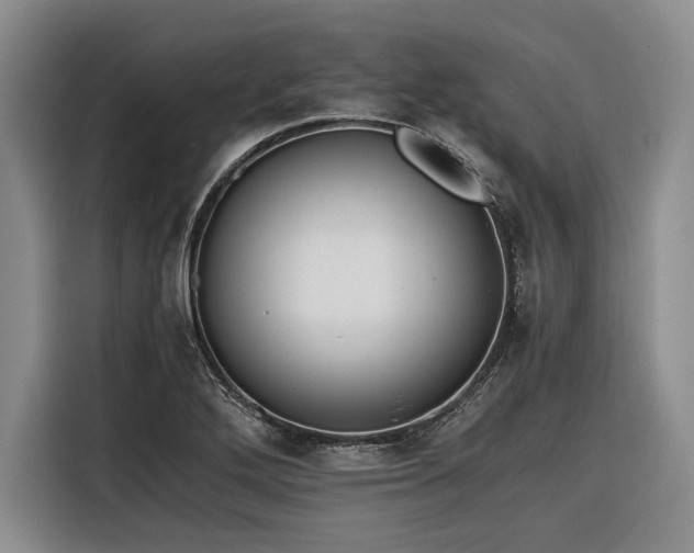 X0000116261272200912071015