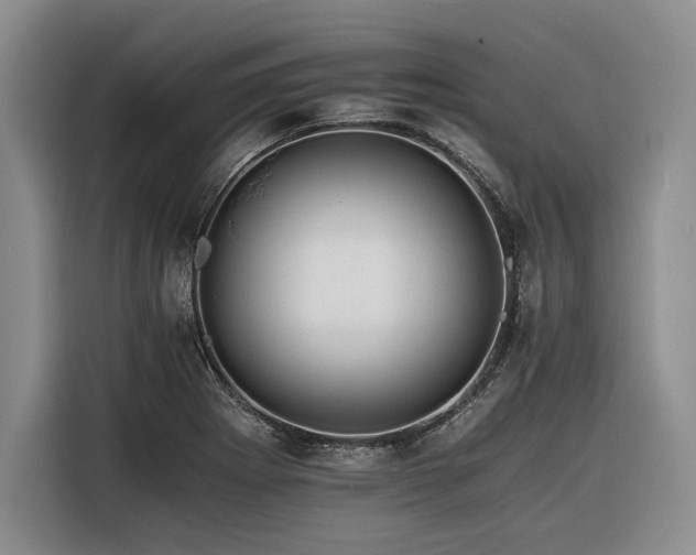 X0000116261273200912071015