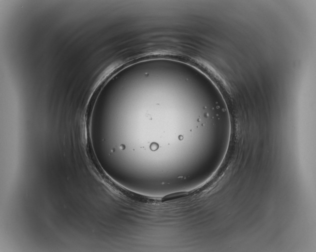 X0000116261274200912071015