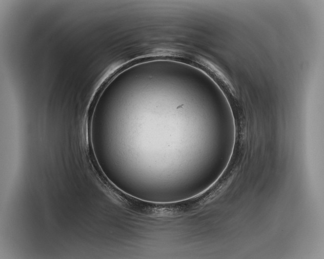 X0000116261275200912071015