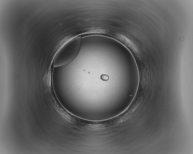 X0000116261276200912071015