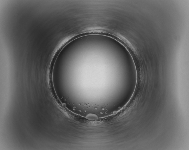 X0000116261277200912071015