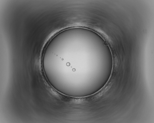 X0000116261278200912071015
