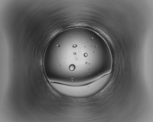 X0000116261281200912071015