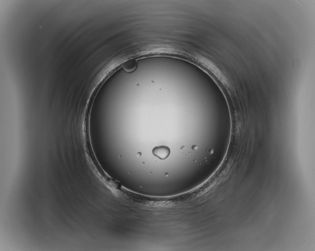 X0000116261282200912071015