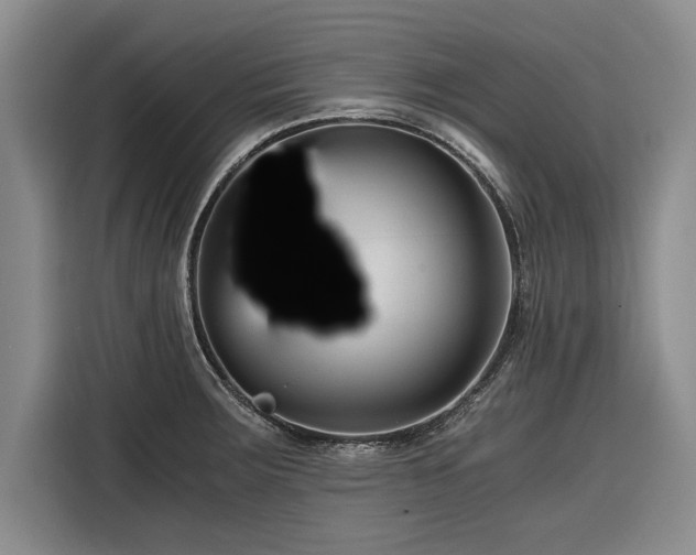 X0000116261283200912071015