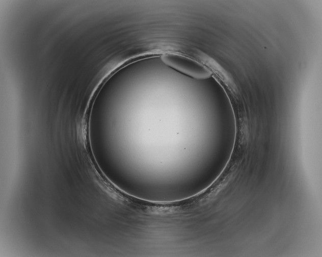 X0000116261284200912071015