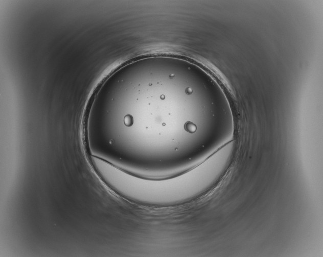 X0000116261285200912071015