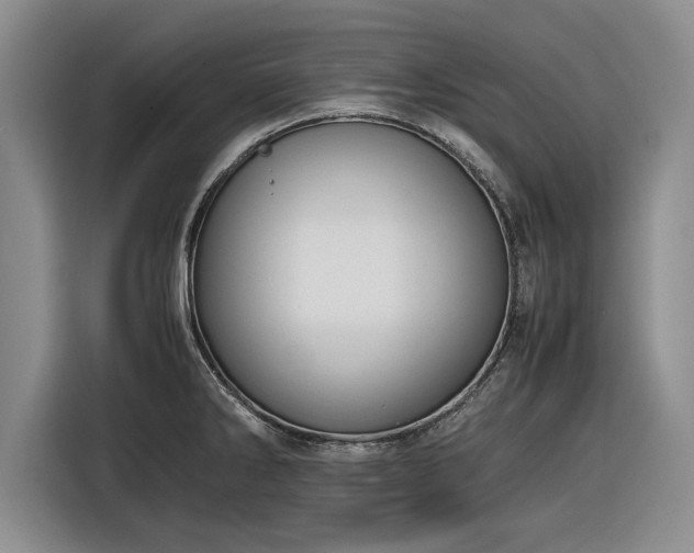 X0000116261286200912071015
