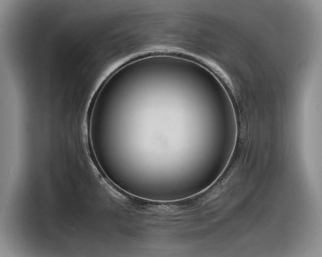 X0000116261287200912071015