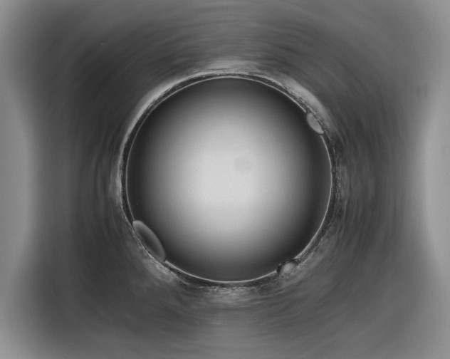 X0000116261288200912071015