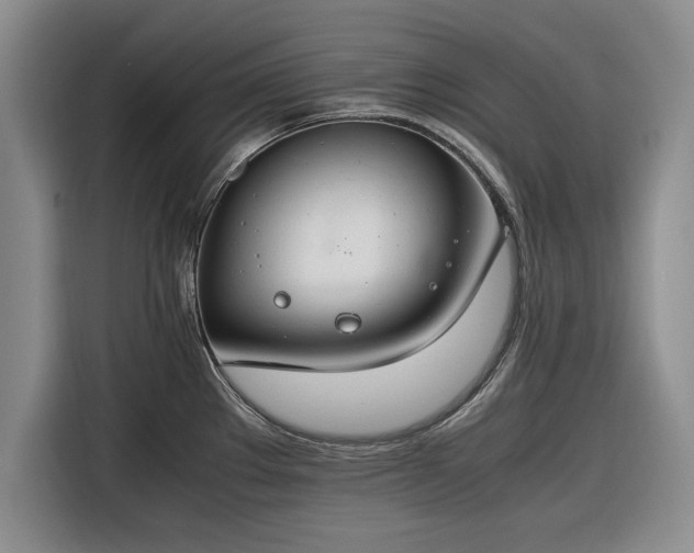 X0000116261289200912071015